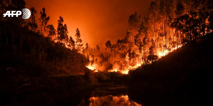 Patricia De Melo Moreira, photographe AFP, basée à Lisbonne a reçu le premier prix photo du festival de Coimbra au Portugal